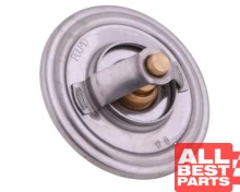 Termostat SW400 Bizon POLMO