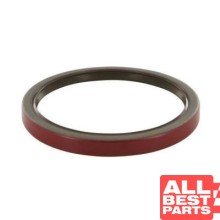 USZCZELNIACZ WAŁU TYŁ CASE 3138701R91 110X130X13/14